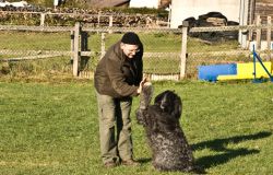 Herrchen und Hund freuen sich nach dem erfolgreichen Training.